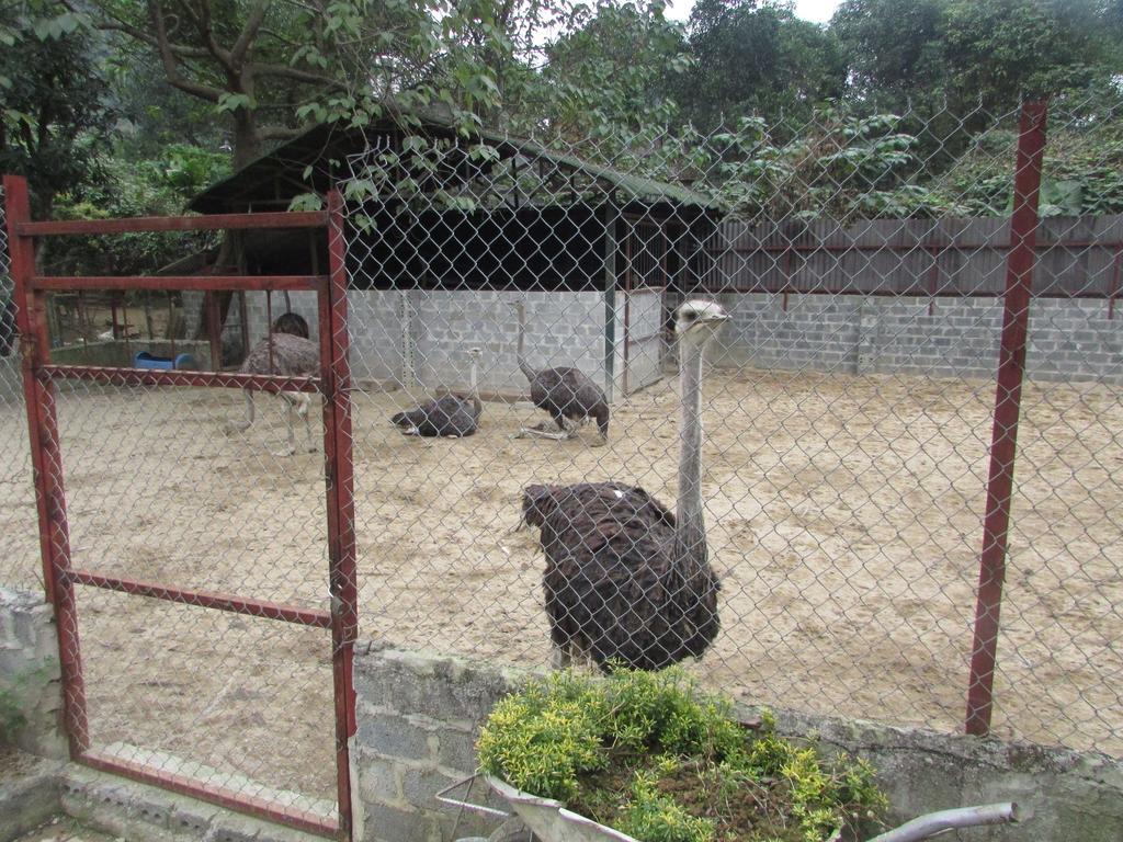 Truong Xuan Khu nghỉ mát 2*