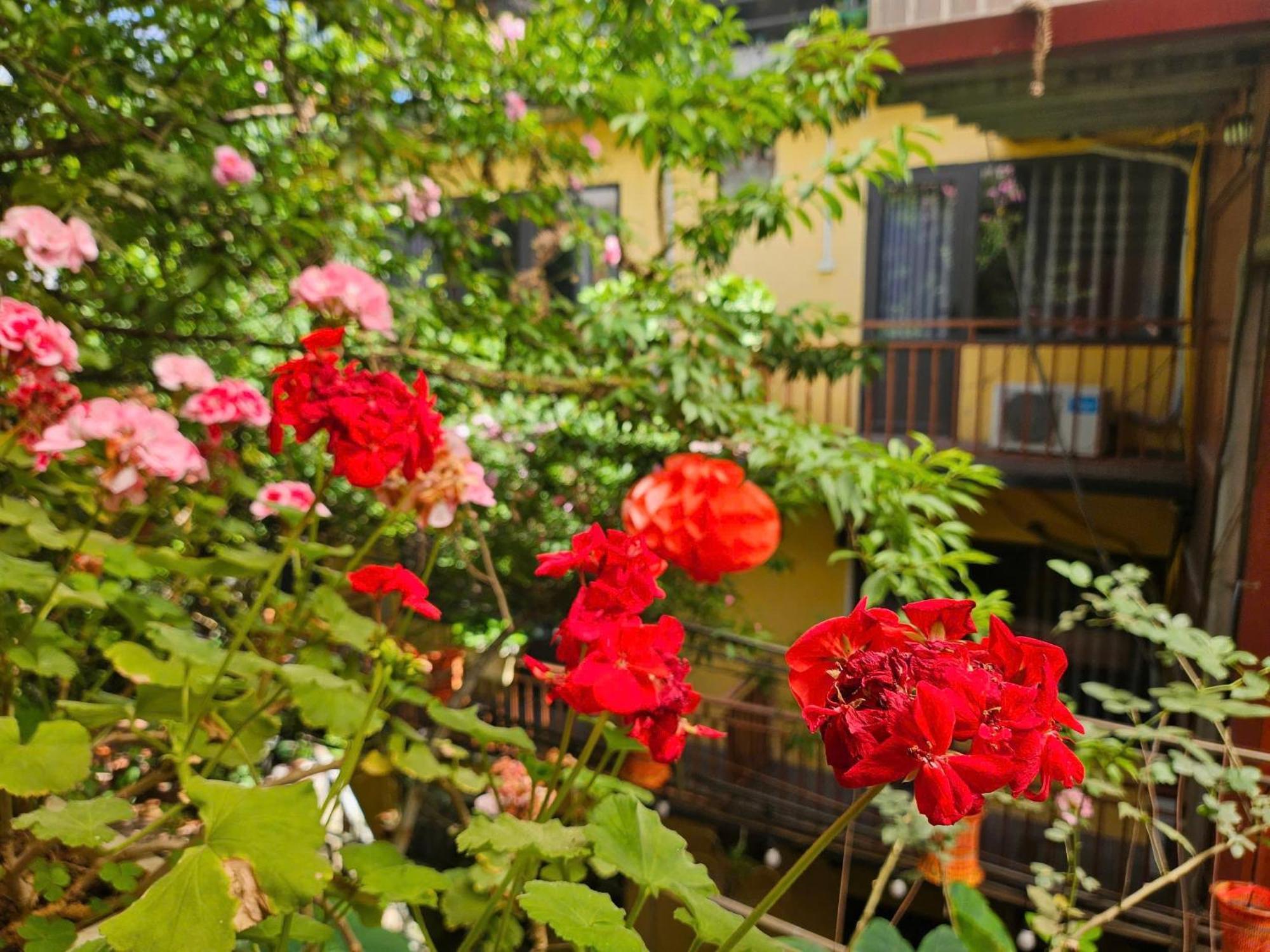 Florence Hotel Sa Pa