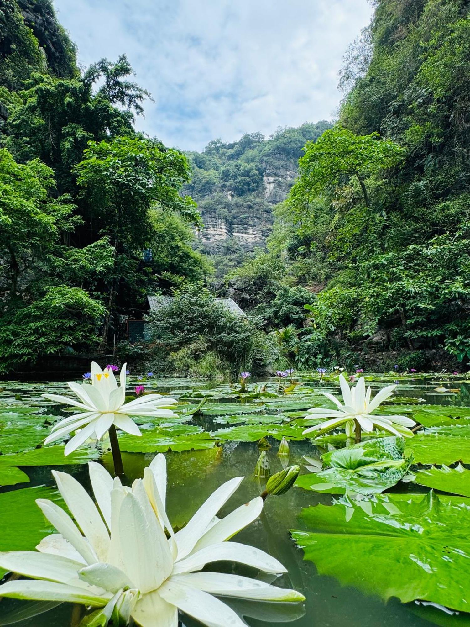 Valley - Thung Lung Xanh * Nguyen Ngoai