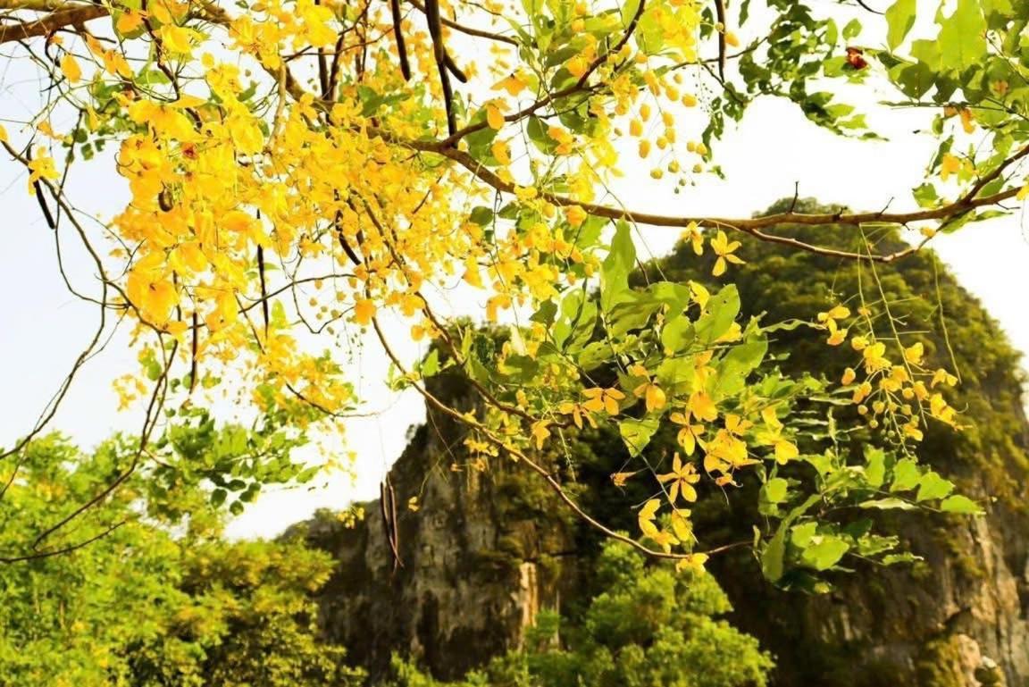 Tam Coc Kamili Hotel Vu Lam