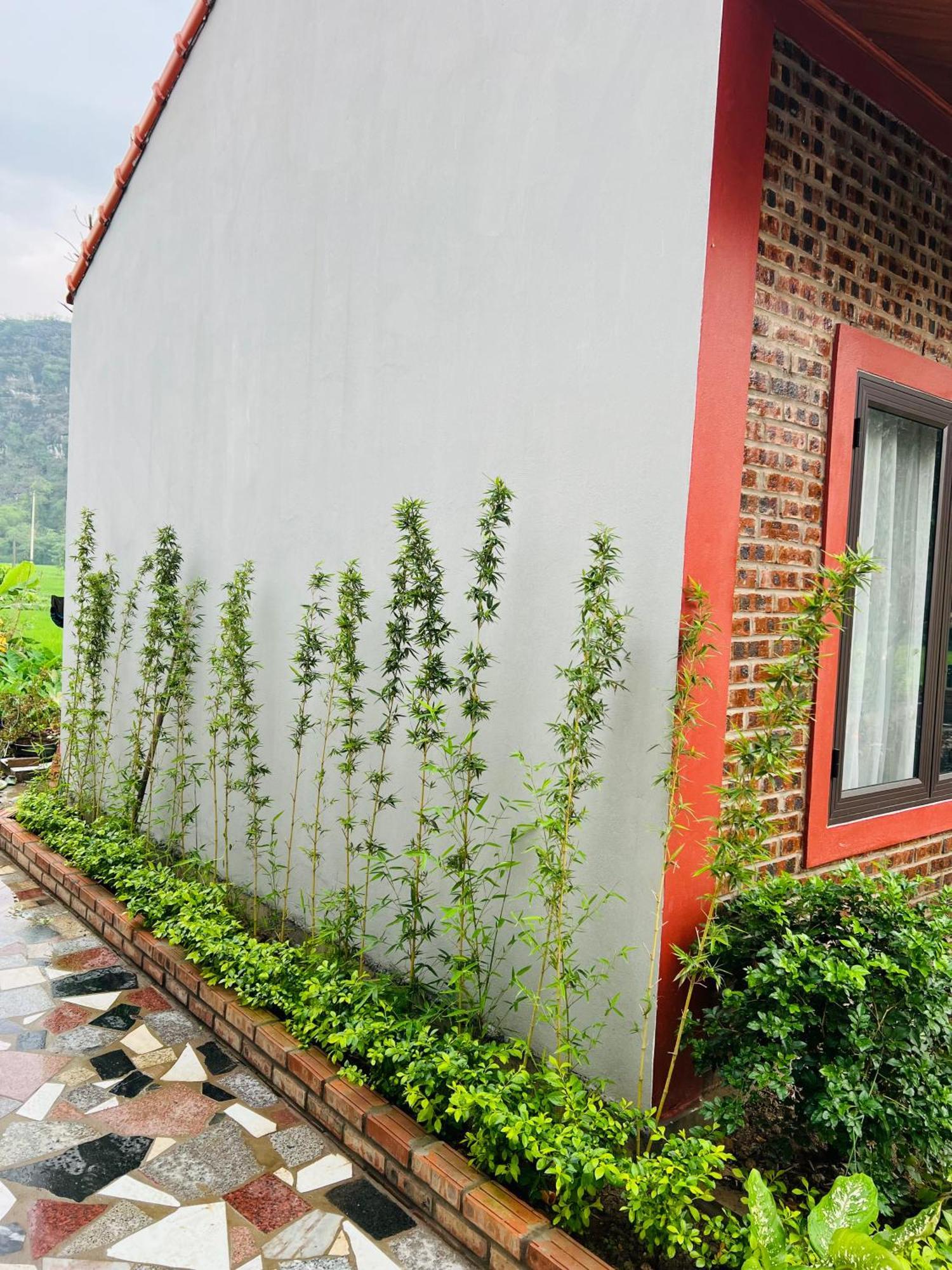 Tam Coc Kamili Hotel Vu Lam