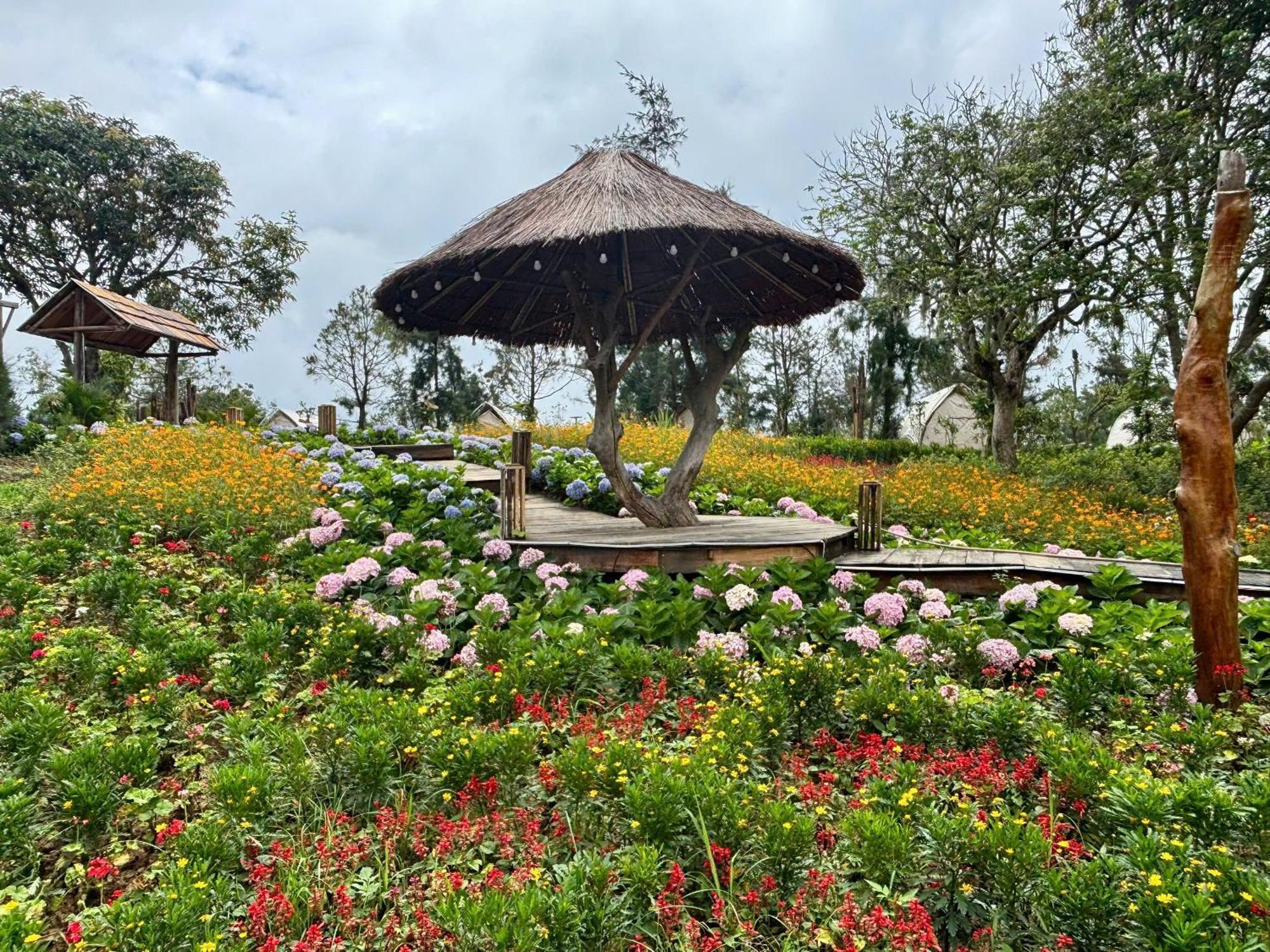Resort Coto Village & Restaurant *