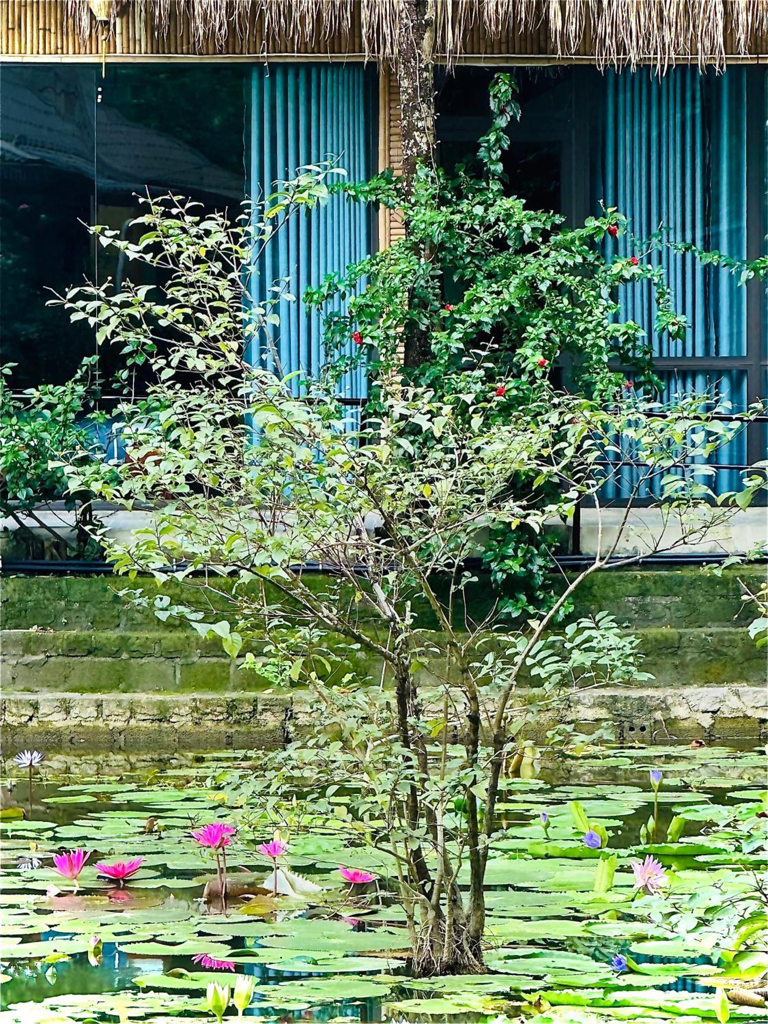 Homestay Valley - Thung Lung Xanh