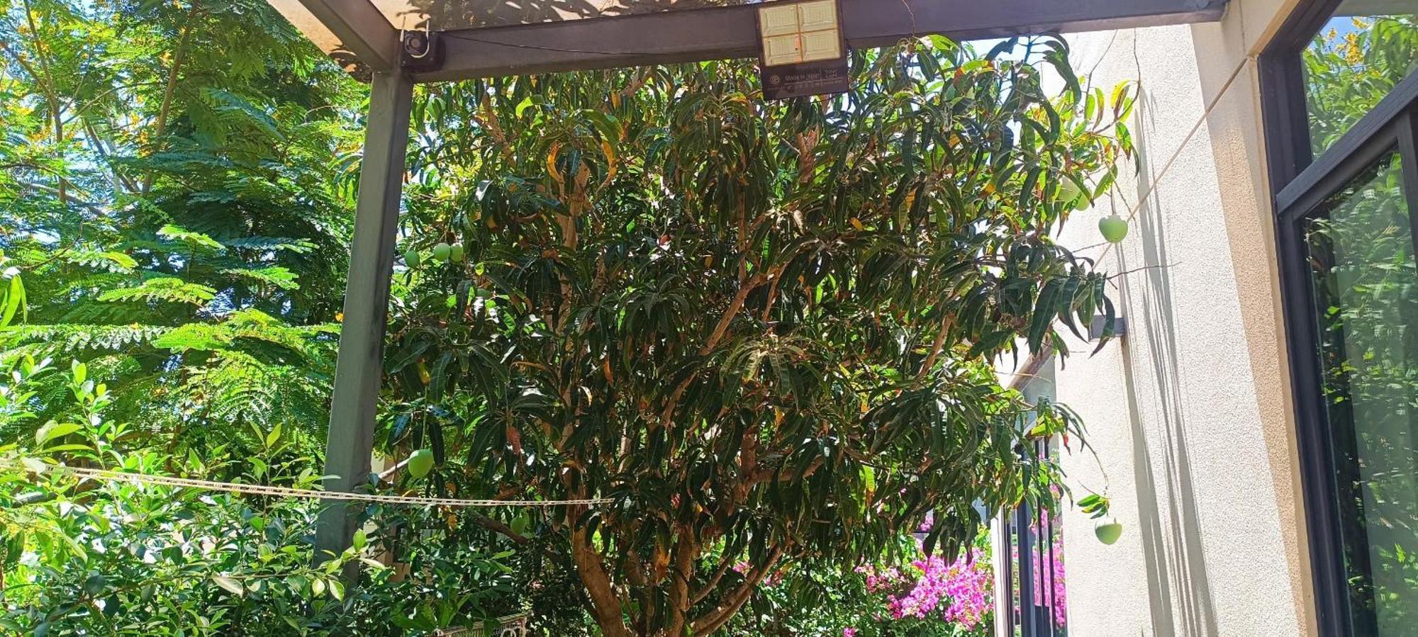 Villa Cam Ranh *