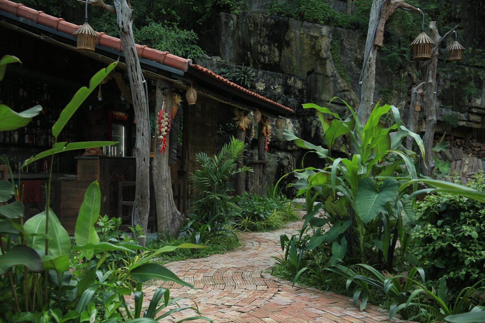 Hostel The Hive - Tam Coc Ninh Binh