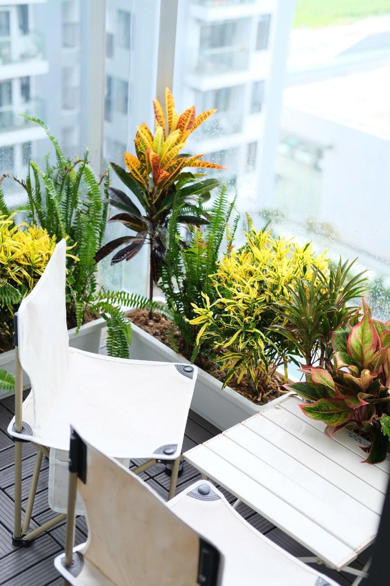 Apartment Minh Anh 2 Hue