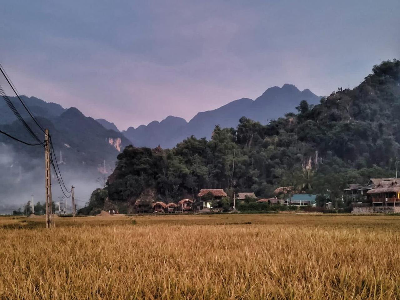 Homestay Little