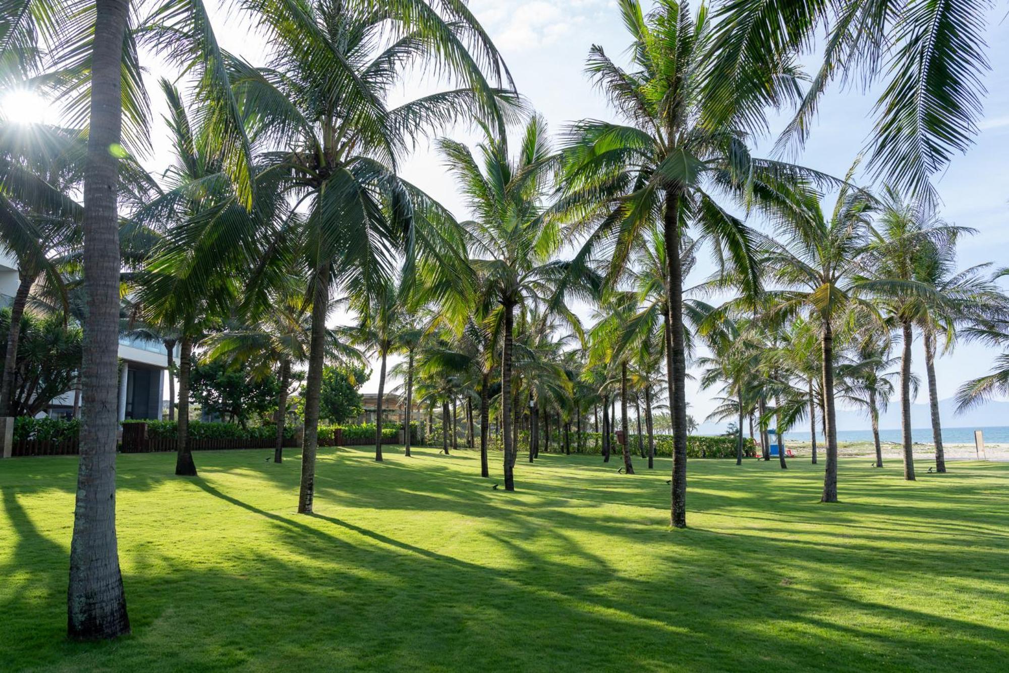 The Five & Quangnam - Danang Resort 5*