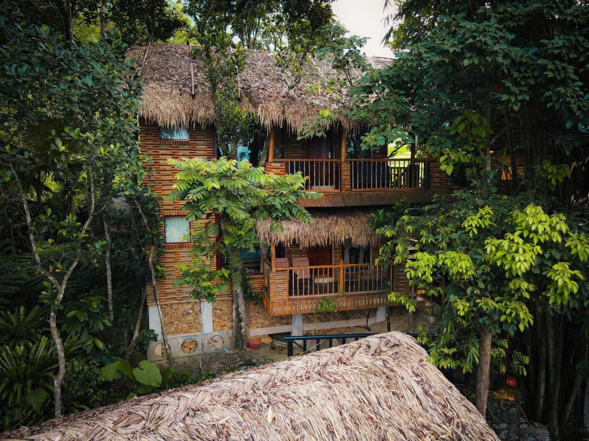 Jungle Pu Luong