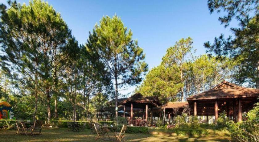 Sam Tuyen Lam Da Lat