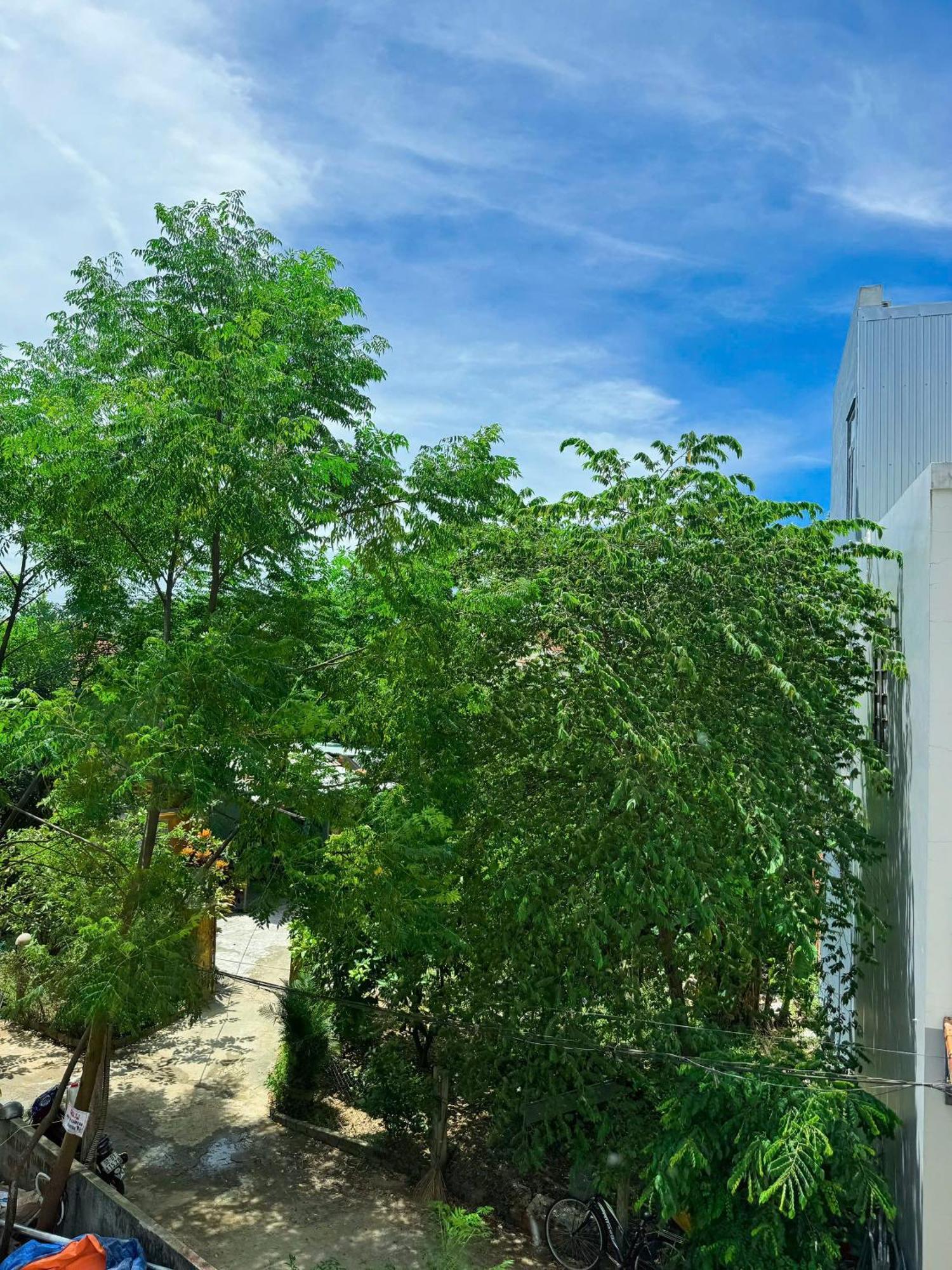 Villa Anriva *