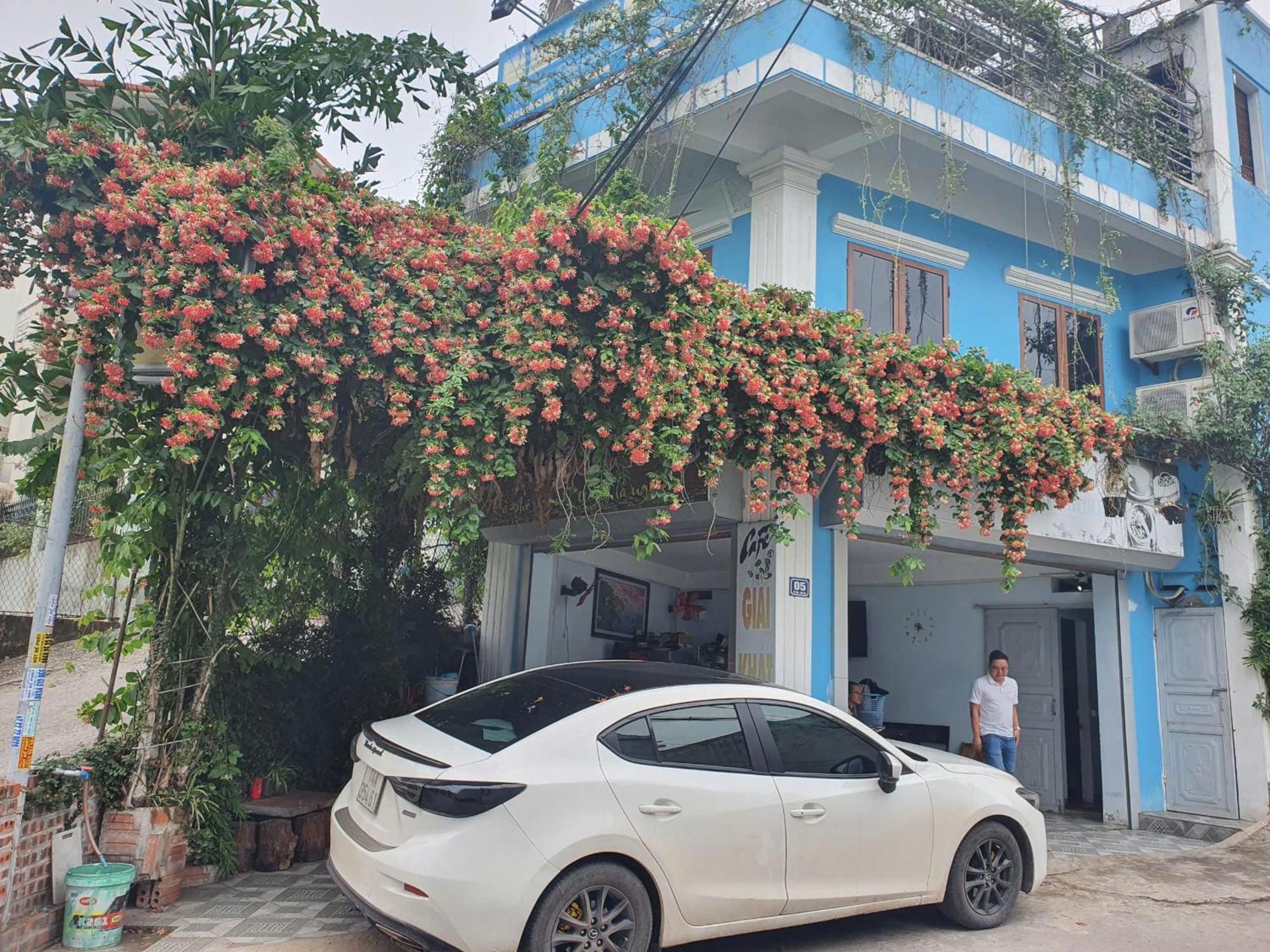Nha Xanh Hạ Long