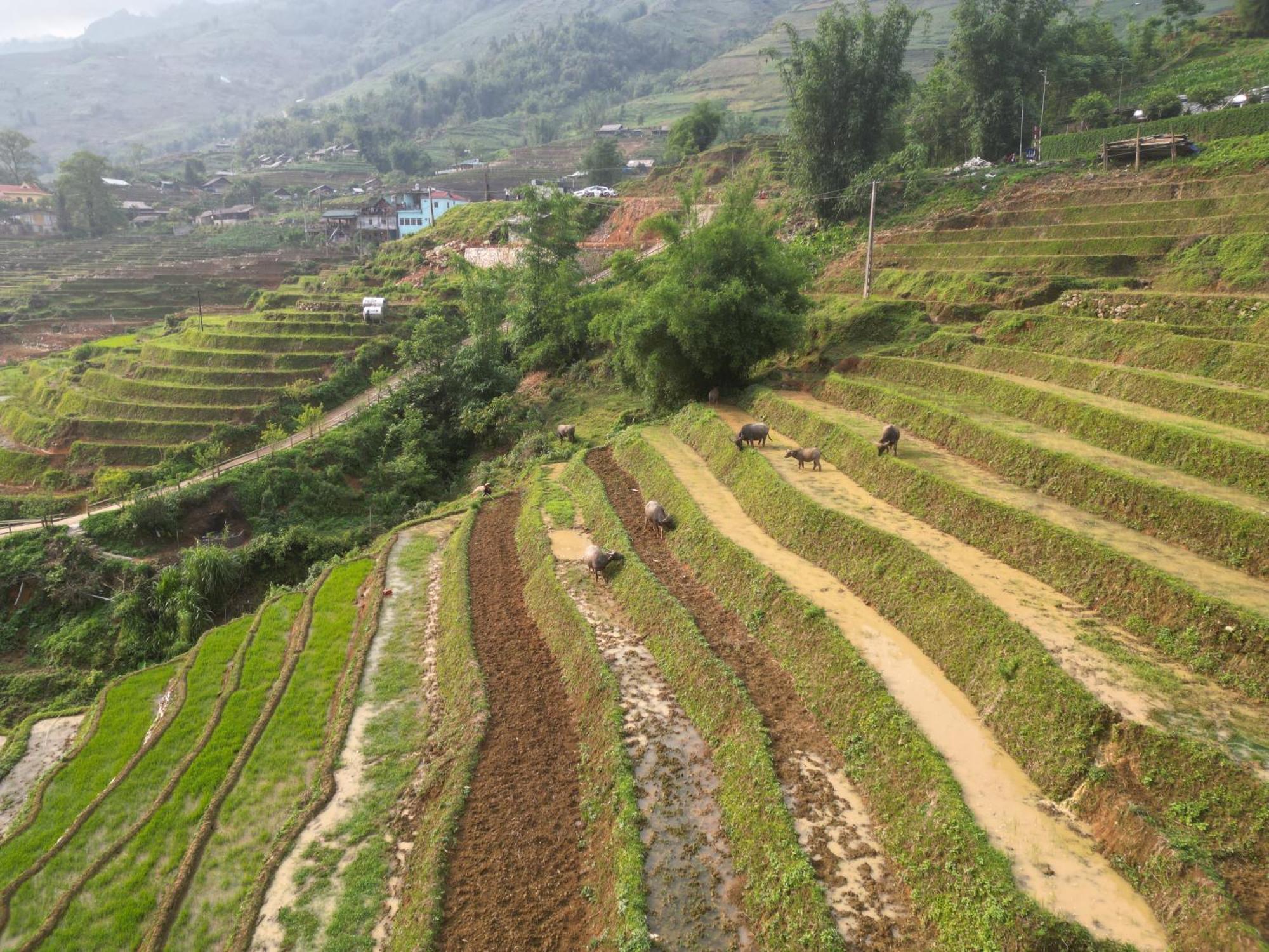 Mt House - Mountain & Terraced Fields View And Trekking Tour