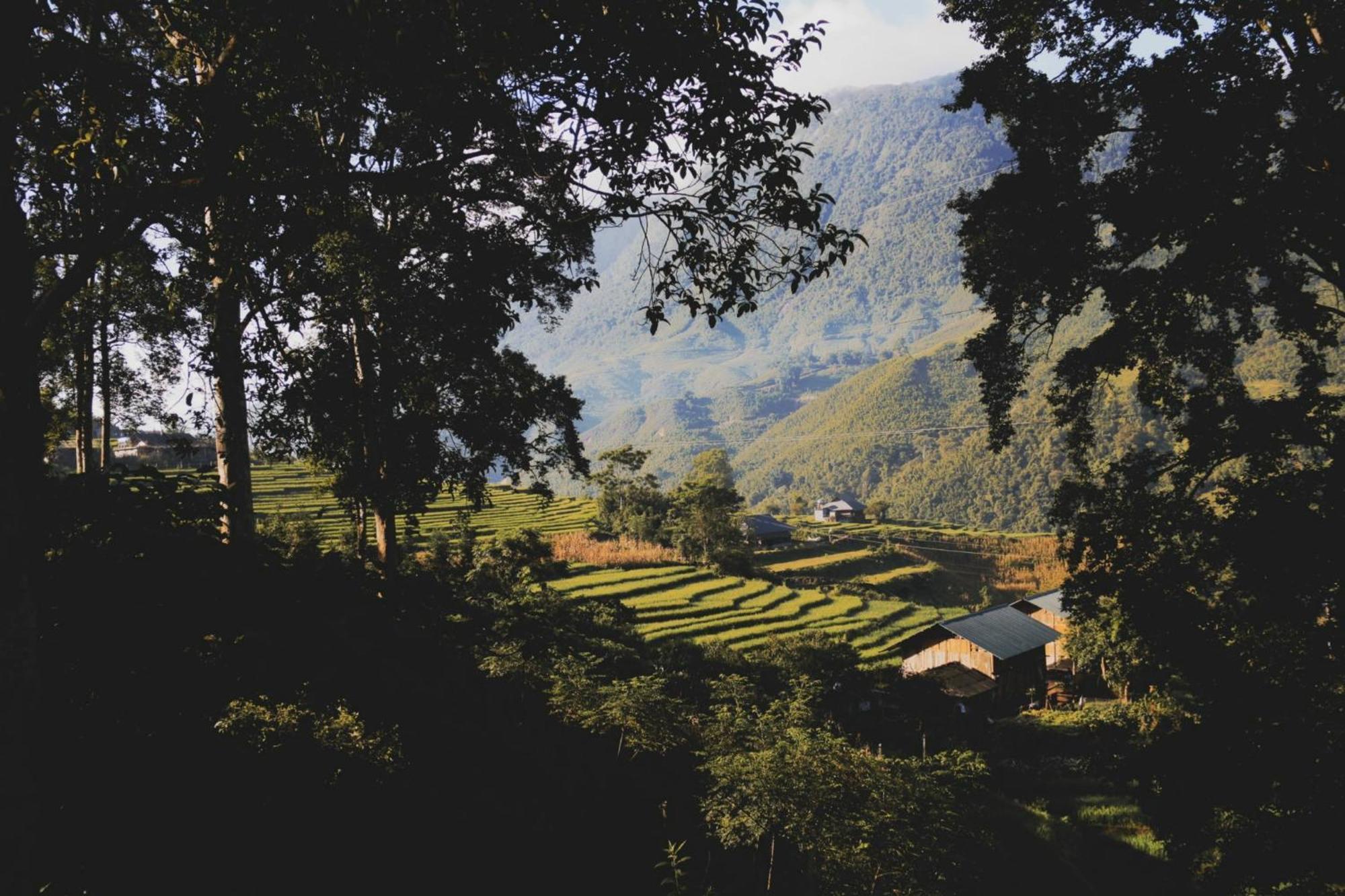 Mt House - Mountain & Terraced Fields View And Trekking Tour Homestay Sa Pa