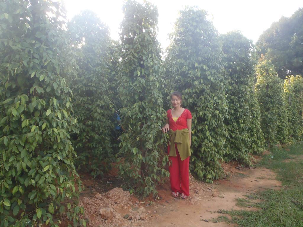 Seaside Homestay Duong Dong (Phu Quoc)