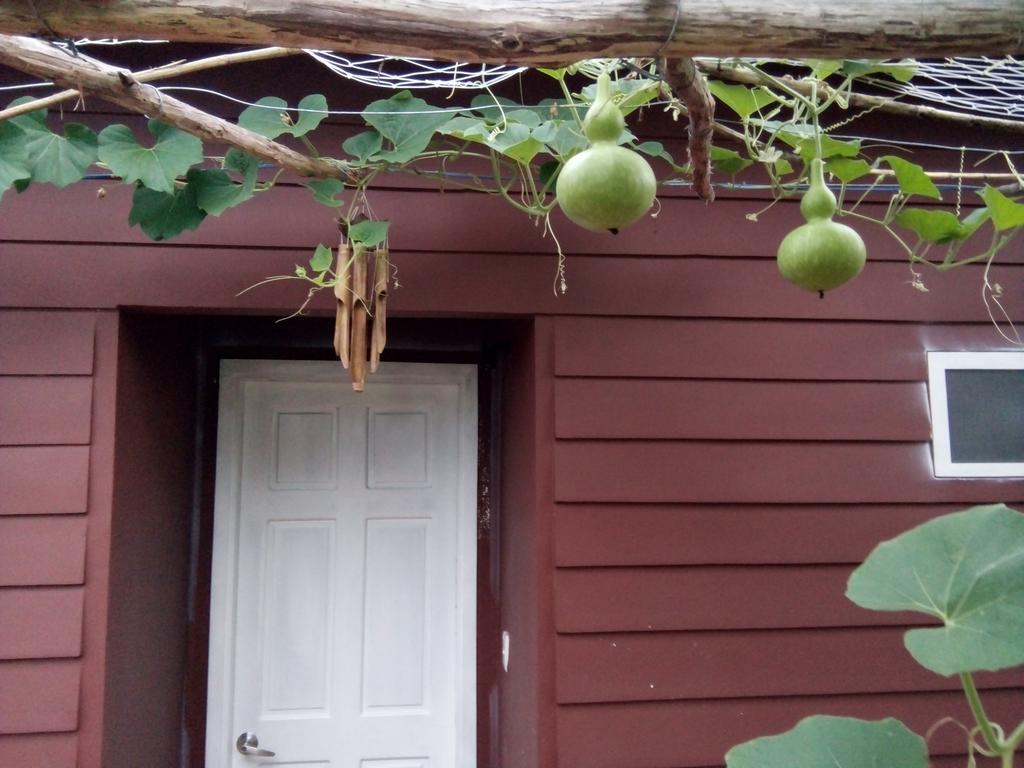 Seaside Homestay Bed & Breakfast 2*