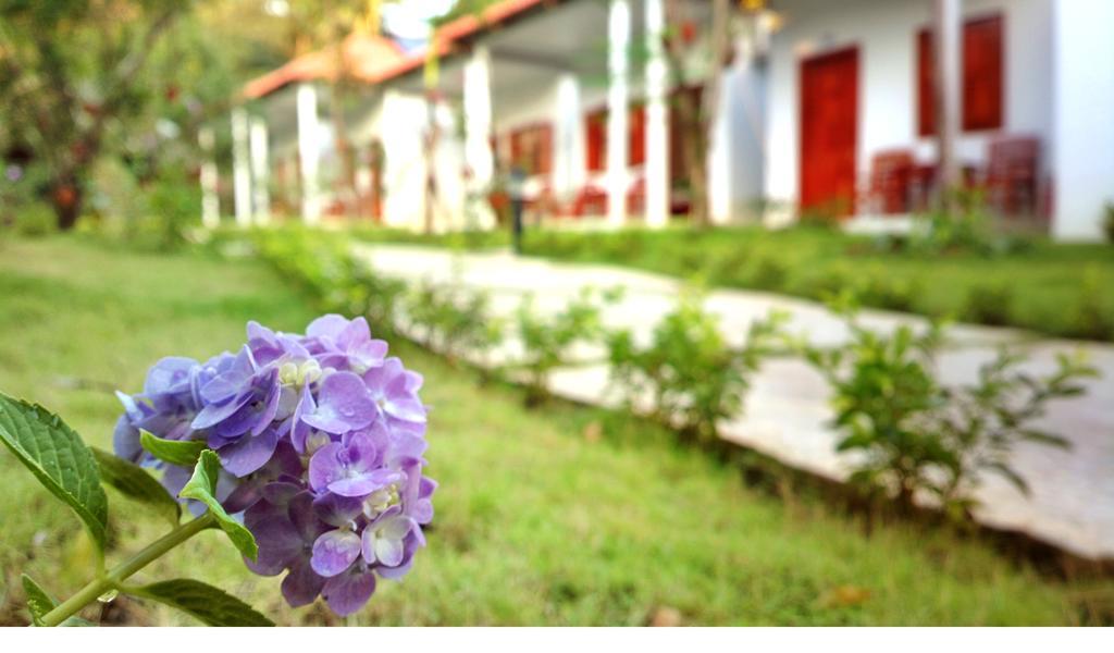 Guest house Highland