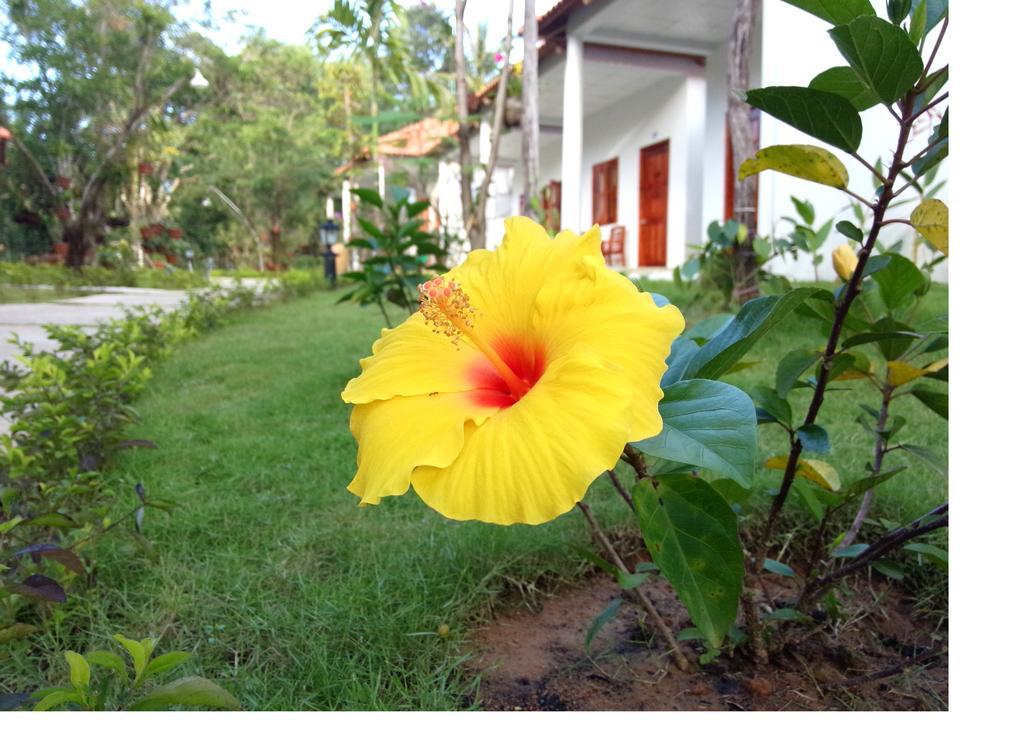 Guest house Highland