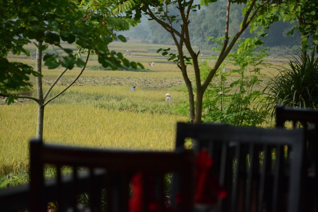 Hotel Sol Bungalows 4*