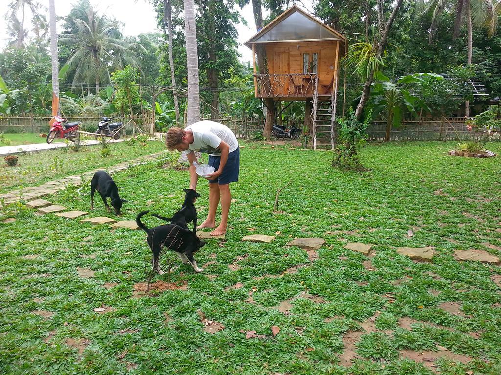 Giraffa Guest house
