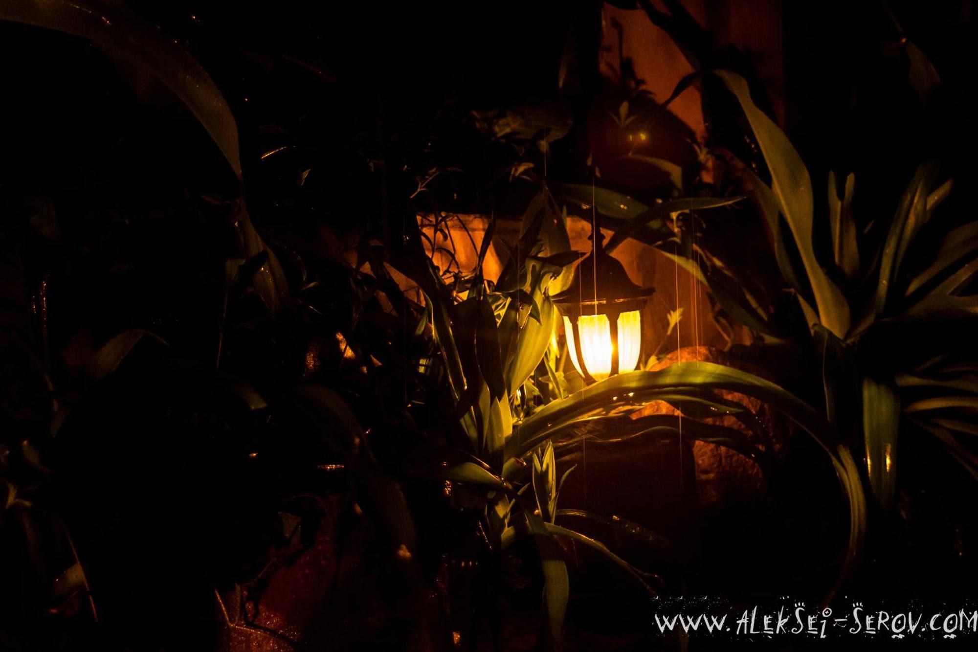 Joe's Cafe & Garden Resort Mui Ne