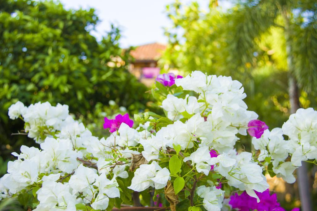 Poshanu Boutique Resort