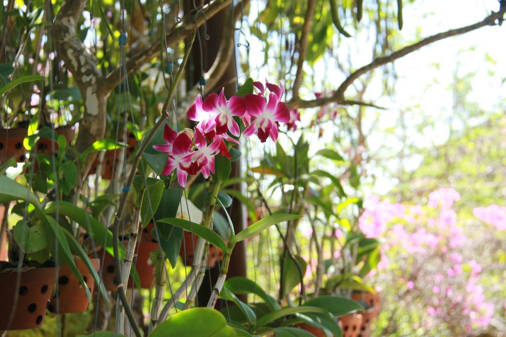 Poshanu Boutique Resort Phan Thiet