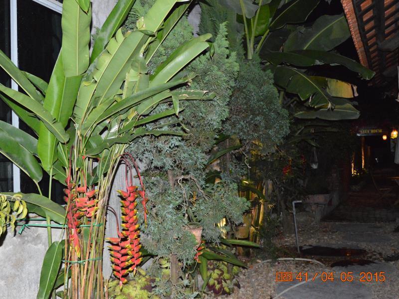313 Cua Dai - Viet House 2* Hoi An