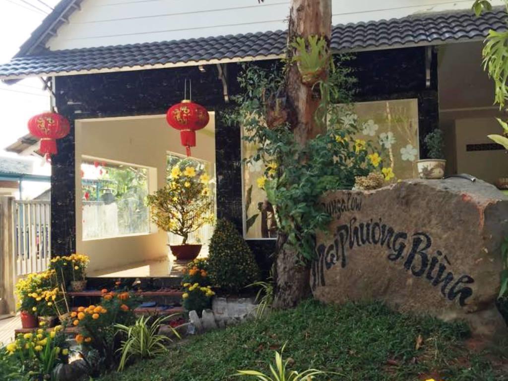 Mai Phuong Binh Guest house