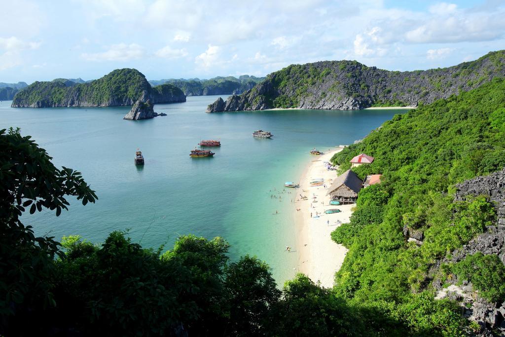 Monkey Island Resort