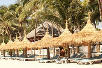 Canary Resort 3*