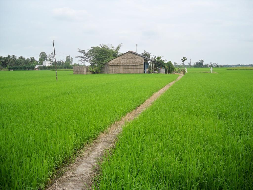Biệt thự Areca