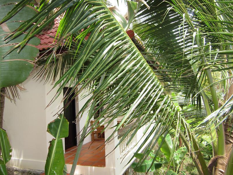 Dưỡng Mai Phú Quốc
