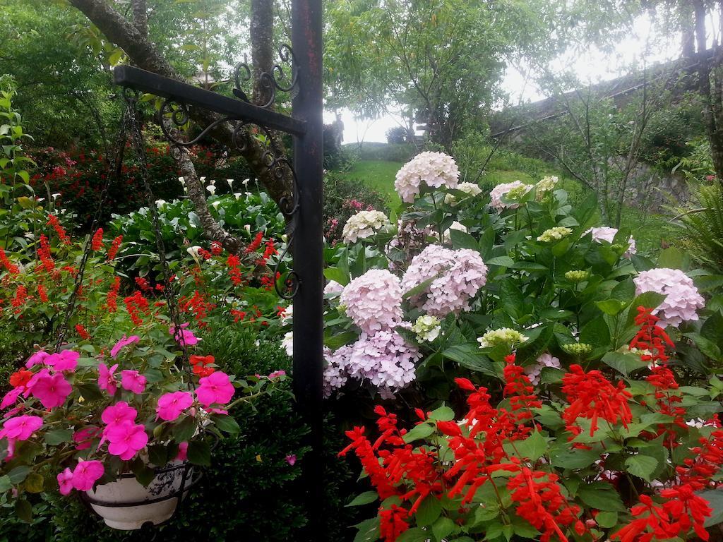 Garden 2*
