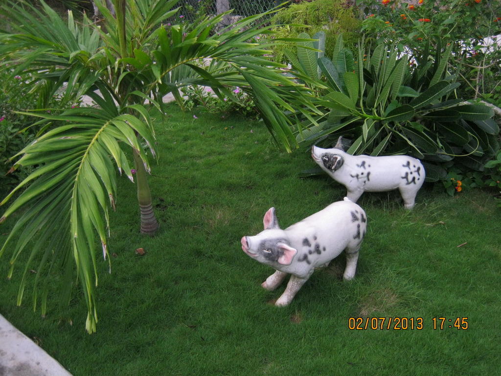 Guest house Sea Winds Mui Ne