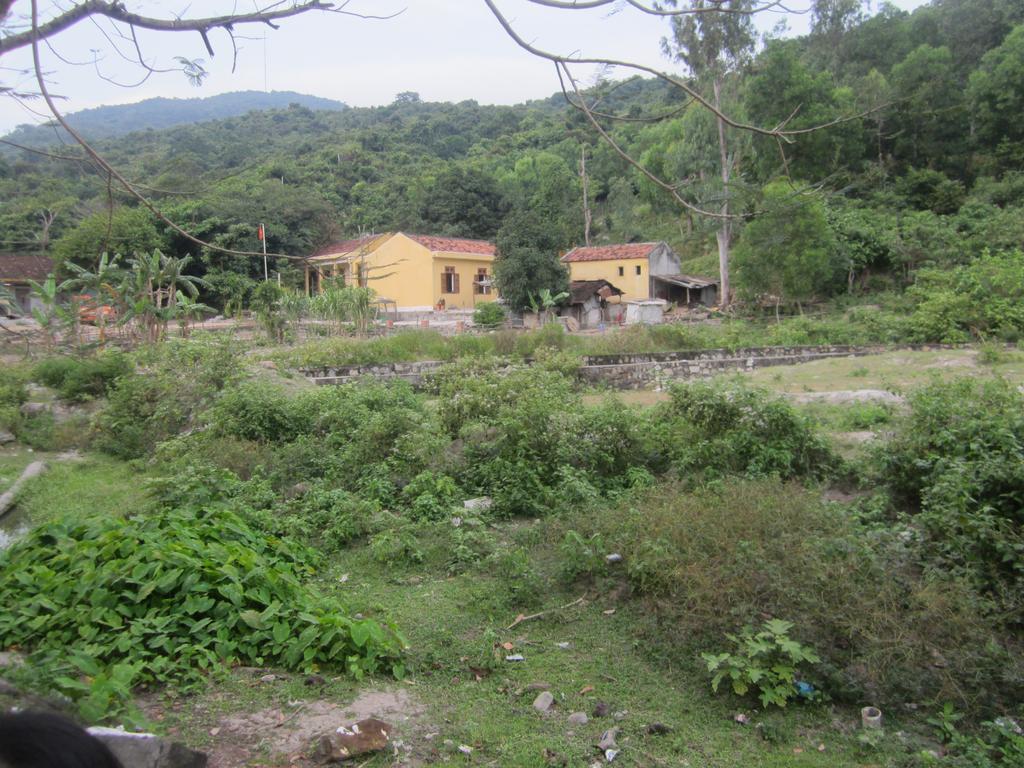 Bai Huong Cu Lao Cham Tan Hiep (Quang Nam)