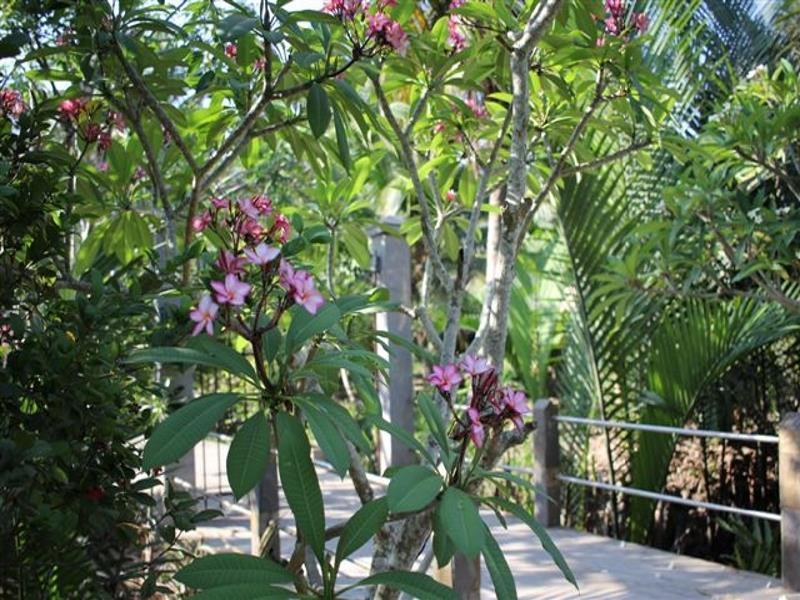 Homestay Charming Countryside *