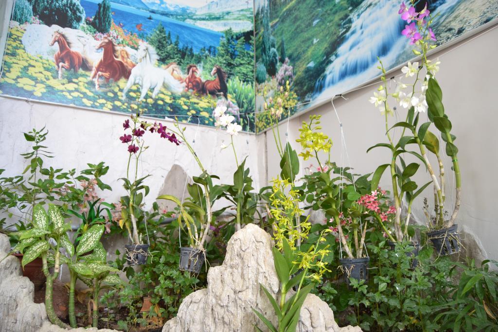 Guest house Binh An Backpacker *