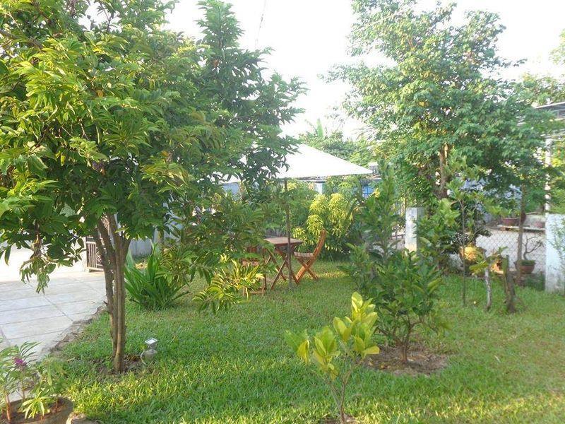 Gingergrass Hoi An