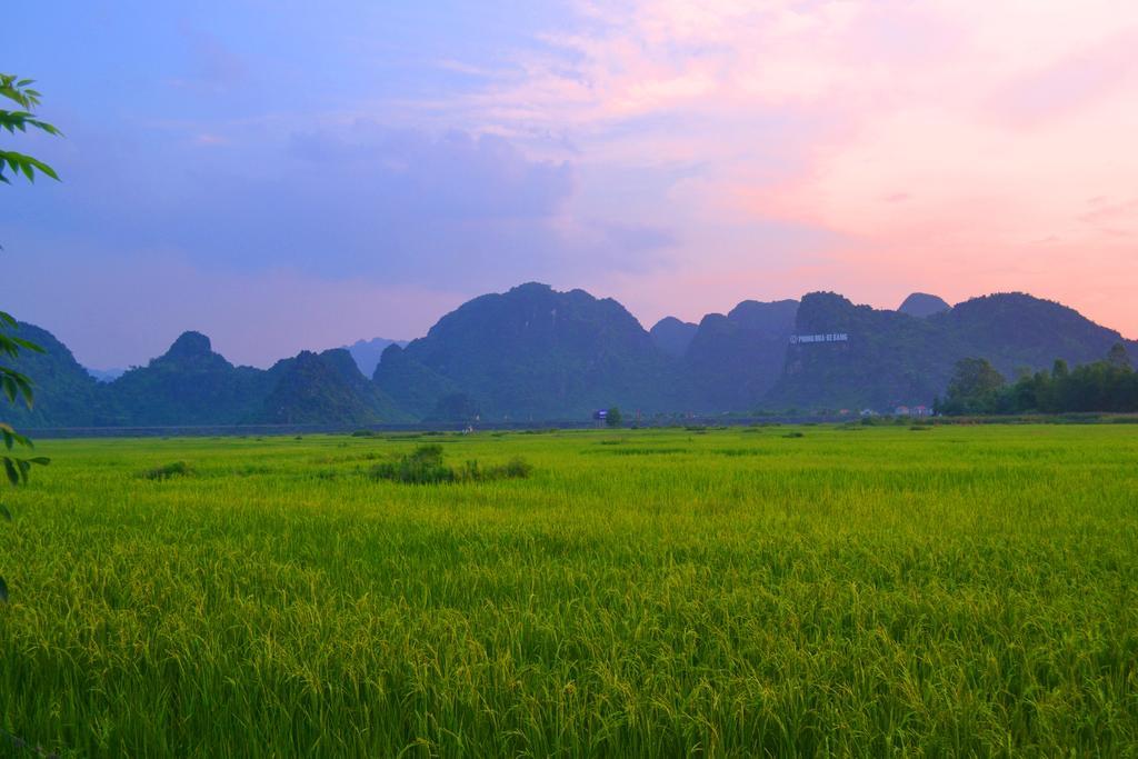 Homestay Jungle Boss Travel *