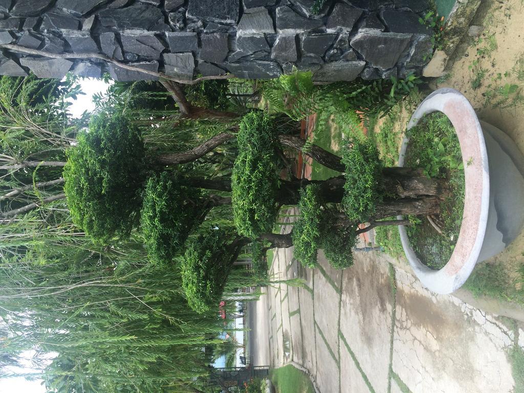 Homestay Dragon Bay