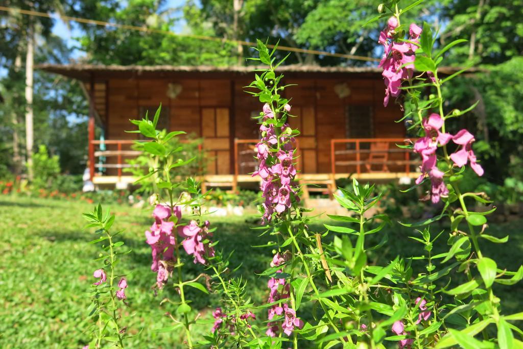 Guest house The Simplest Village