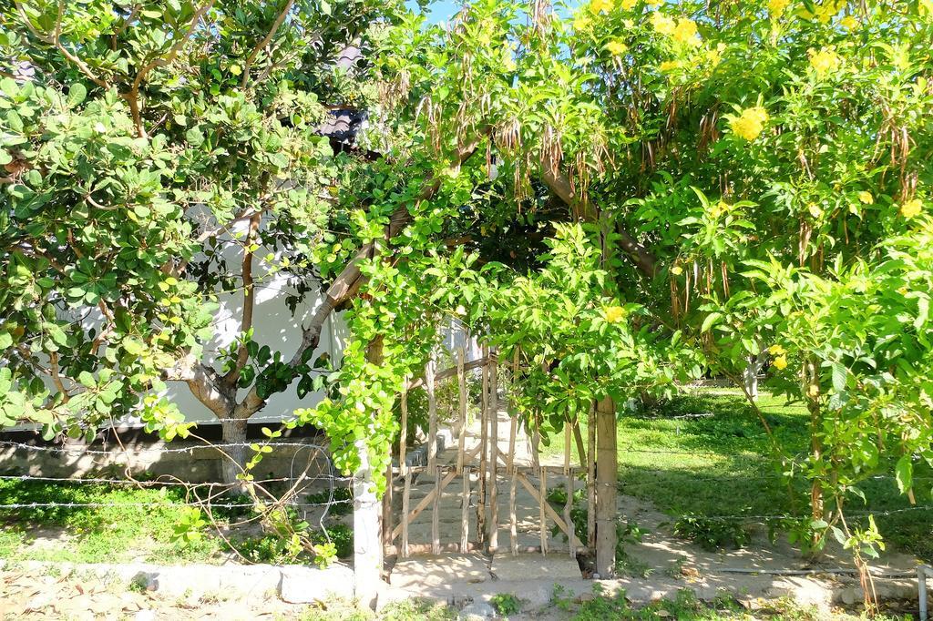 Khách sạn Dao Hoa Vang *