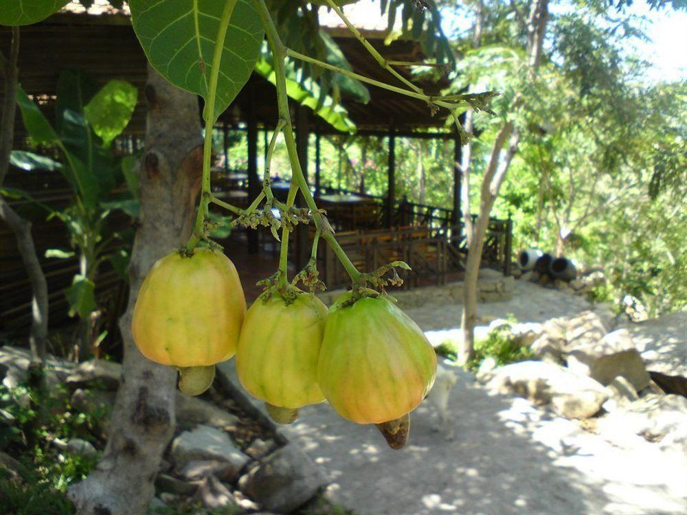 Resort Wild Boutique 3*
