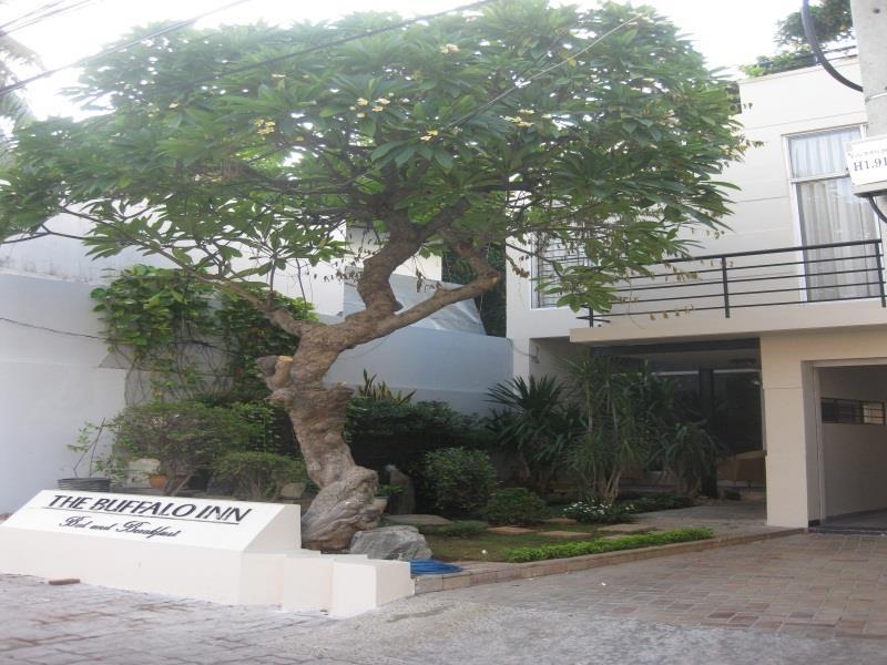 Bed & Breakfast Buffalo Vung Tau