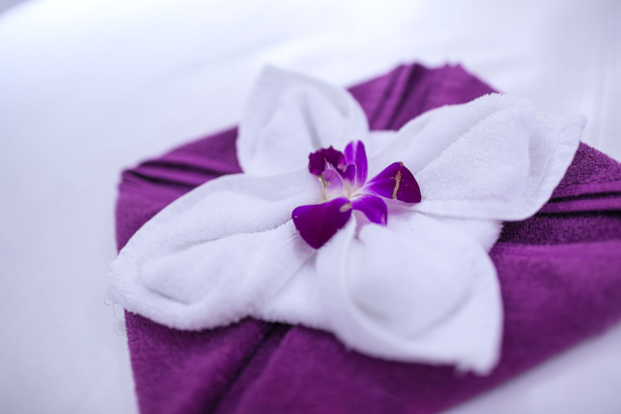 Holiday Beach Hotel Danang Hotel