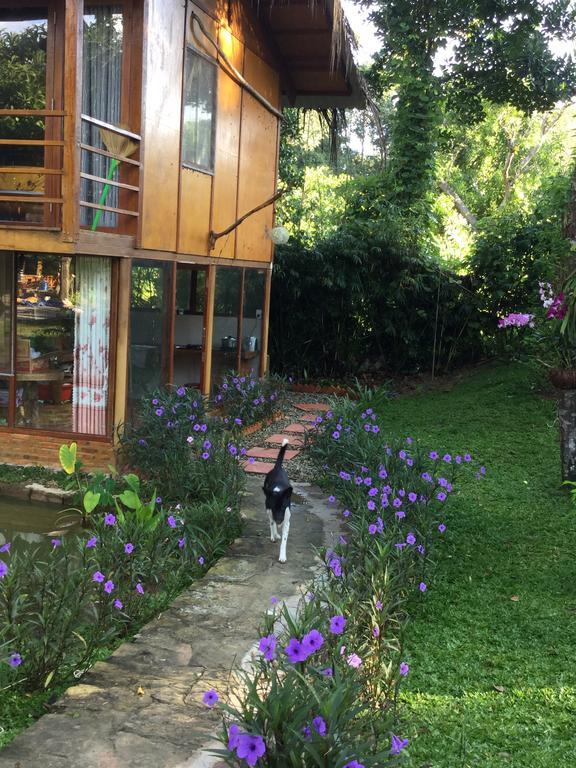 Guest house Giraffa 2*