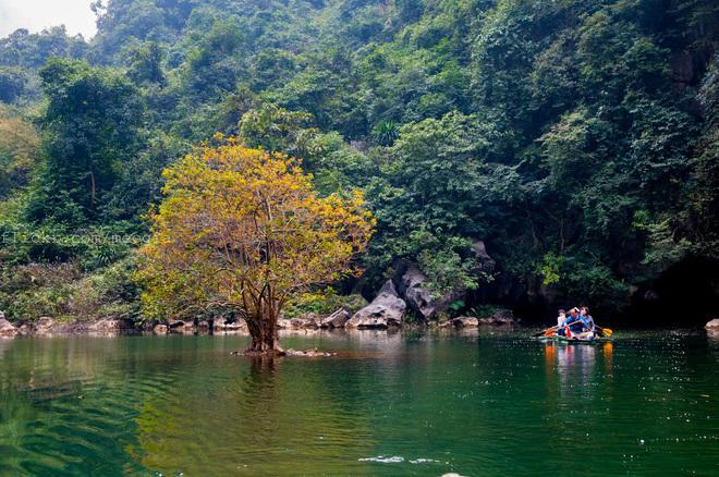 Hotel Giang