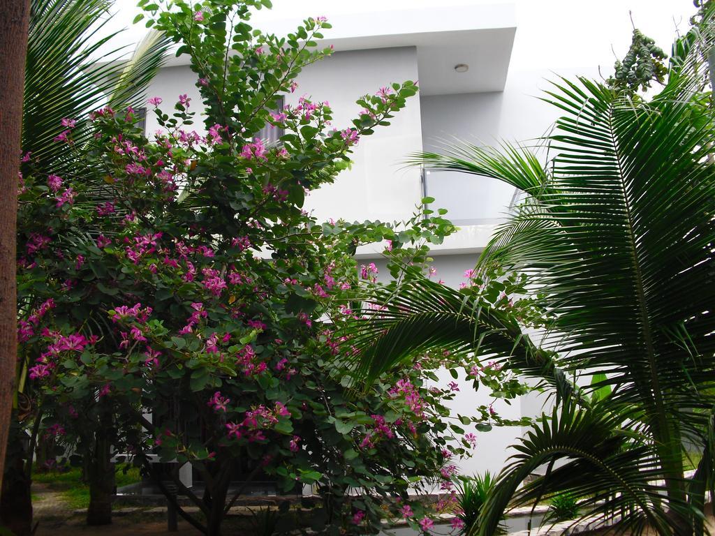 Villa Nguyen Minihouse