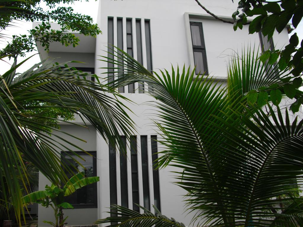 Villa Nguyen Minihouse